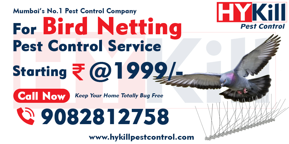 Bird Netting Pest Control